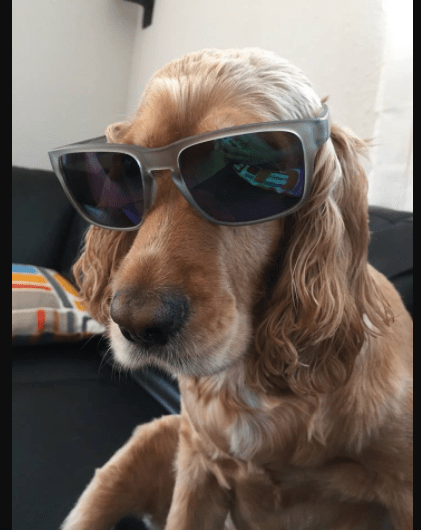 89/365 Rest in peace Reyna…